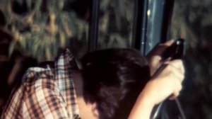 Жёлтый лист осенний. Колибри. Не могу сказать _Прощай_.