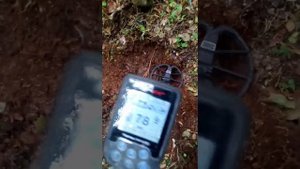 Копнул серебра с Нокта Макро Симплекс Плюс....но одна из находок немного напугала