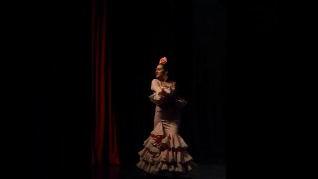 Academia de Baile Flamenco Inma Mera. смотреть онлайн