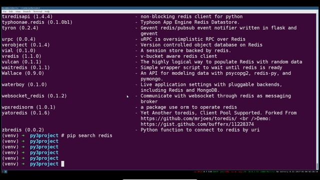 Python Programming Environment Setup