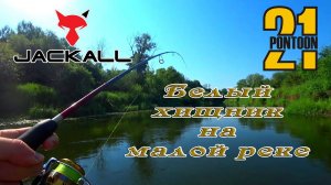 Вот это поклевки! МОЩНЫЕ УДАРЫ белого хищника на спиннинг