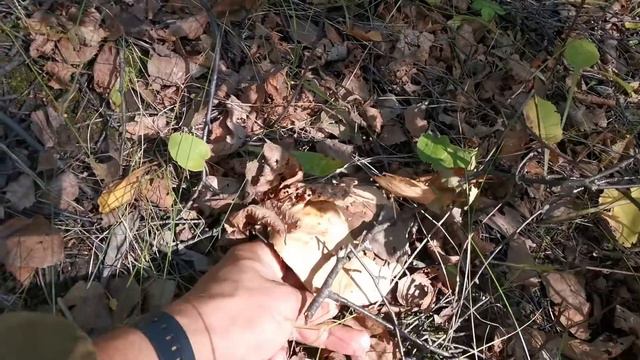 Что такое бытие и ничто в логике Гегеля наглядно | Пример чистого бытия | Пример чистого ничто смотреть онлайн