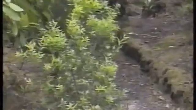 ORCV-founding of the Melaleuca Inlet Yacht Club, Port Davey, Tasmania смотреть онлайн