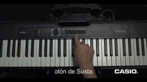 Casiotone CT-S300 - Pedales