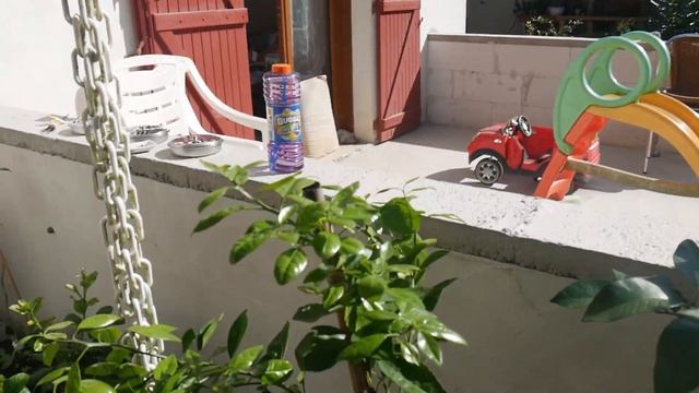 🙈🤫J'ai encore craqué😅VLOG AGRUMES fin septembre смотреть онлайн