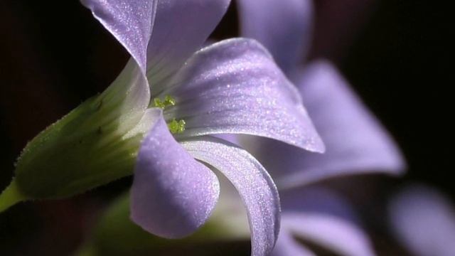 Wow Photo that are worth seeing at least once part-97 | Фотографии которые стоит увидеть хотя бы ра смотреть онлайн