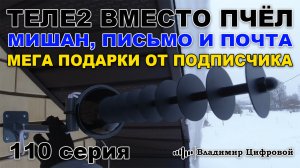 Теле2 вместо пчёл, Мишан и Почта России, мега подарки от подписчика! | Владимир Цифровой | 110 серия