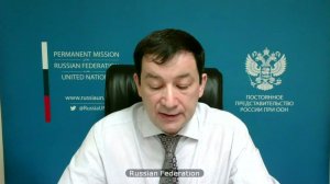 Выступление Д.А.Полянского в ходе видеоконференции СБ ООН по вопросам выполнения резолюции СБ 2118