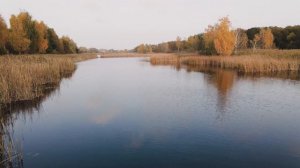 Супер насадка на крупного карася. Кошу рыбу на любом водоёме