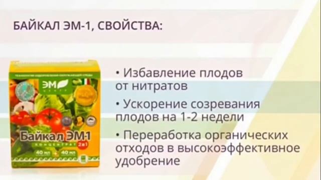 Био-удобрение Байкал ЭМ1 | Обзор продукции компании «ЭМ-Центр»