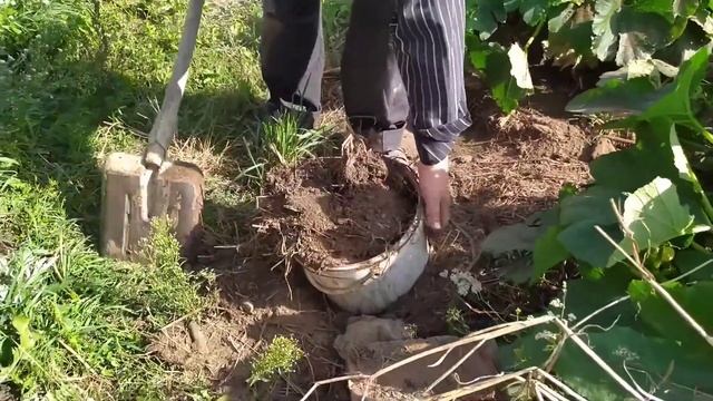 Тёплая грядка для клубники. Делаем грядку из агроткани.