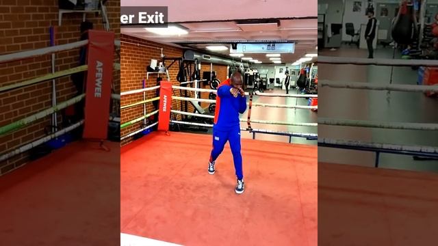 CUBAN BOXING_ Countering an ORTHODOX opponent