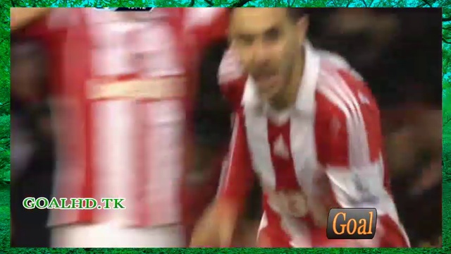 All goals - Stoke City 1-1 Everton - 01-01-2014 Highlights