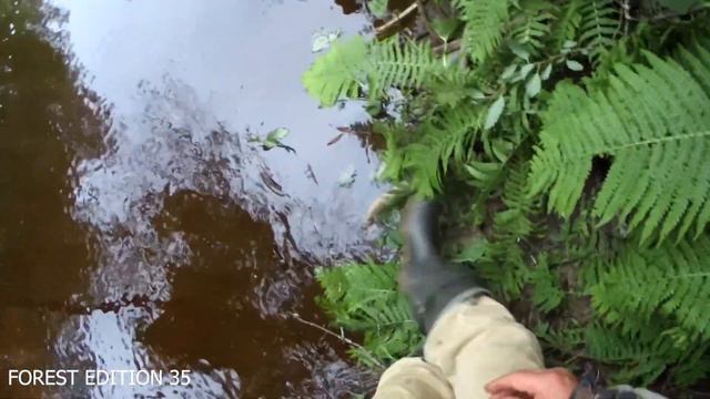 Хариус на лесной речке смотреть онлайн