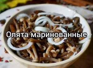 Маринованные опята. Легко и просто ?