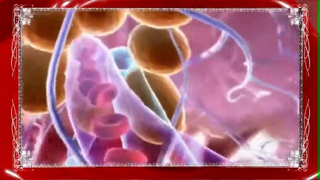 Celluless MD Антицэллюлитный вакуумный массажер смотреть онлайн