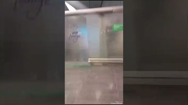 Обзор по аэропорту Внуково