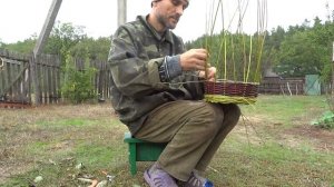 Плетение корзины из ивового прута.