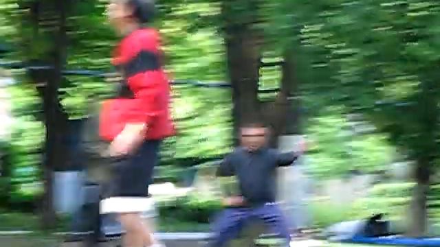 Базовая техника синицюань Му Юйчунь
