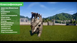 СИНОЦЕРАТОПС - КИТАЙСКИЙ ЦЕРАТОПС ||| ДИНО-ВИКИ №12