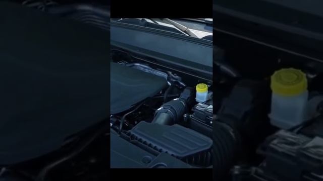 New Haval Cool Dog 2023 SUV смотреть онлайн