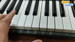 Casio LKS250 Keyboard | CasioTone LK-S250 | CHORDANA PLAY APP LEARNING WITH LIGHTNING FEATURES