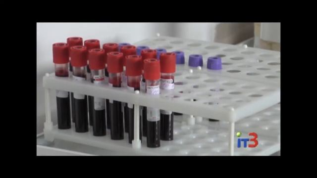 Первая в этом году акция по сбору донорской крови смотреть онлайн