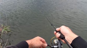 Рыбалка на окуня. Ловля окуня отводным поводком. Ультралайт.
