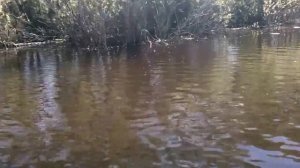 мережа на реке Полисть