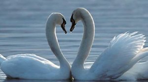 Из Вечности вы шагнули - христианская свадебная песня