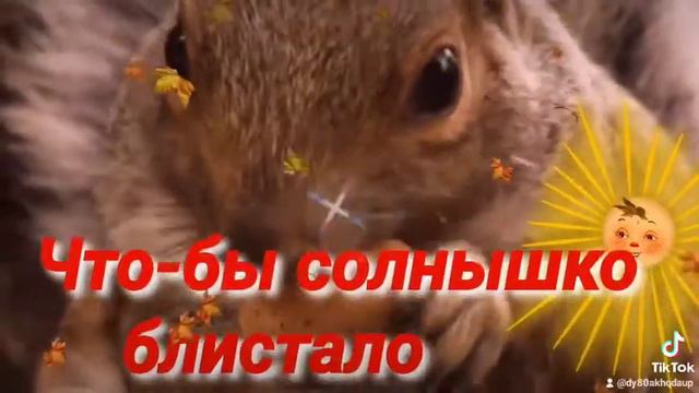 Утро доброе настало!!! смотреть онлайн