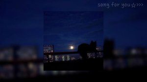 Музыка для ночных посиделок на кухне с тульпой | Music for late-night gatherings in the kitchen☆