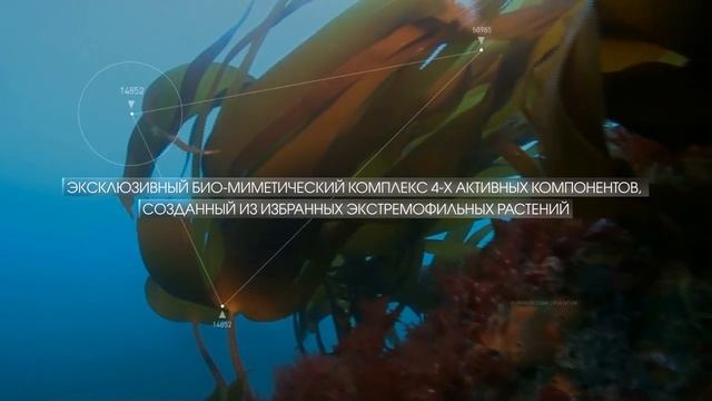 Презентация бренда Algologie смотреть онлайн