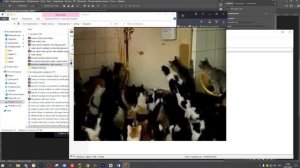 Где искать клиентов на инфографику / Где брать заказы