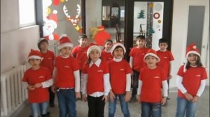 Белые, белые в декабре