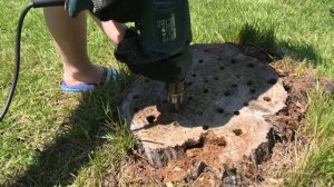 Как удалять старые пни? Очень эффективный способ!