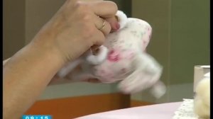 Мастер-класс Тильда лошадка от Бегуновой Елены,союз мастеров "Днепровская палитра"