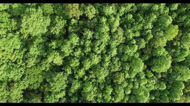 Мантра 7 Чакр* Гаятри Мантра смотреть онлайн