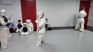 Удары в голову Каратэ Киокушинкай