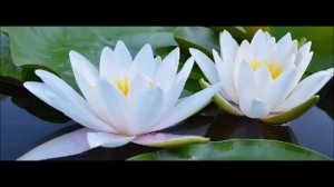 О, как блажен, как счастлив я