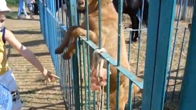 "Семейная гостиная" дома ребенка "Капелька"