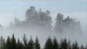 Это музыка миру прощает ... Г. Иванов - П. Морозов