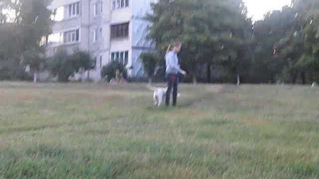 Трюки