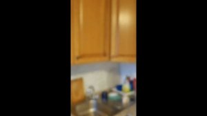 Химки_Проспект Мельникова д.10_Химки