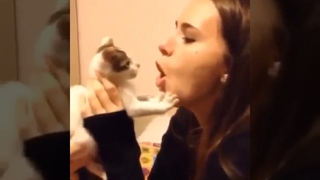 ДОИГРАЛАСЬ ДЕВОЧКА))) Кот укусил за губу смотреть онлайн