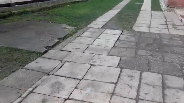 LM1O "Ohnivy Motyl"- 10pcs. Torpeda.lt смотреть онлайн