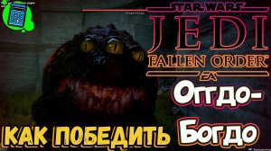 ☝️Как победить Оггдо-Богдо в Star Wars Jedi: Fallen Order