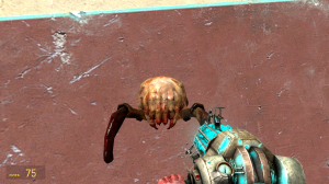 играем с другом в гарис мод