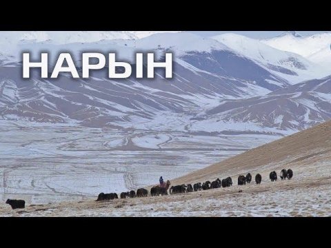 Пять причин поехать в Кыргызстан. Нарын