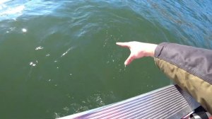 Три лодки Girgis на воде. Гиргис 370, 390 и 440 на рыбалке и покатушках. Открываем сезон.